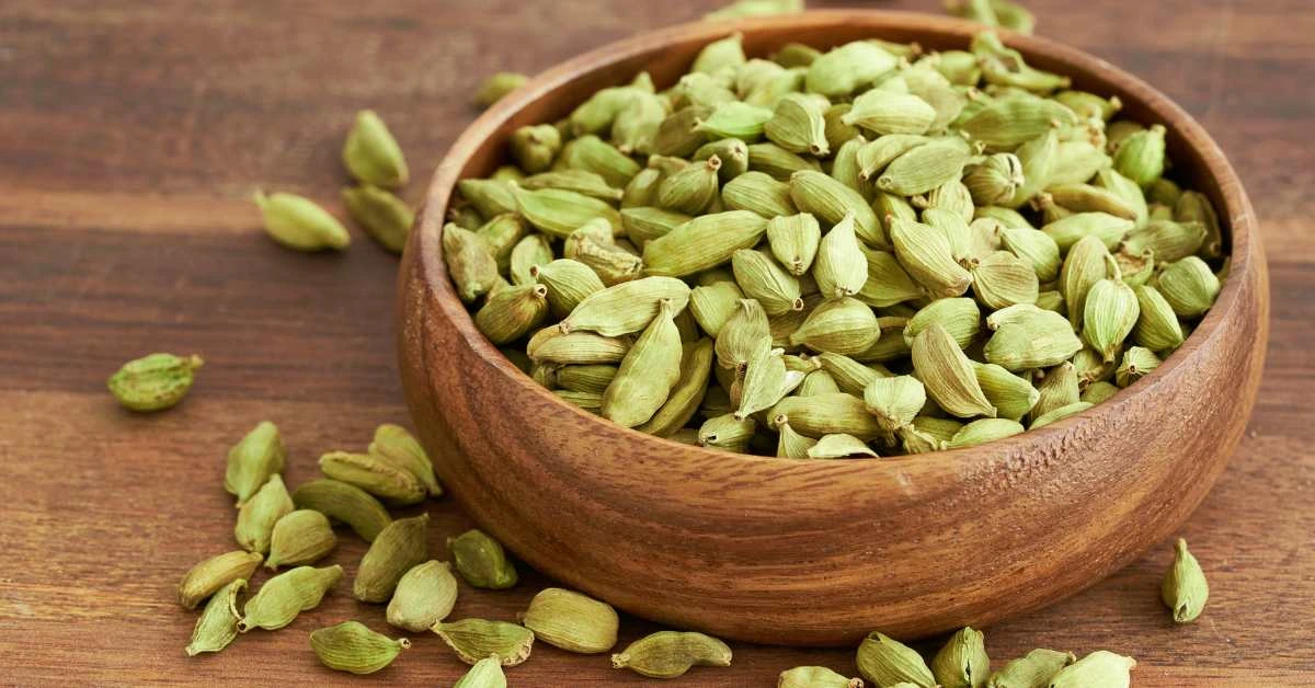 इलायची की खेती Cardamom Farming