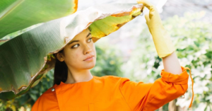 Crop-protection-in-summer-session | फसल-की-सुरक्षा